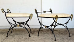 Neoclassical Style Iron and Bronze Swan Benches