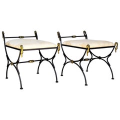 Vintage Neoclassical Style Iron and Bronze Swan Benches