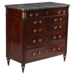 Neoclassical Style Mahogany Commode, 19th Century Baltic