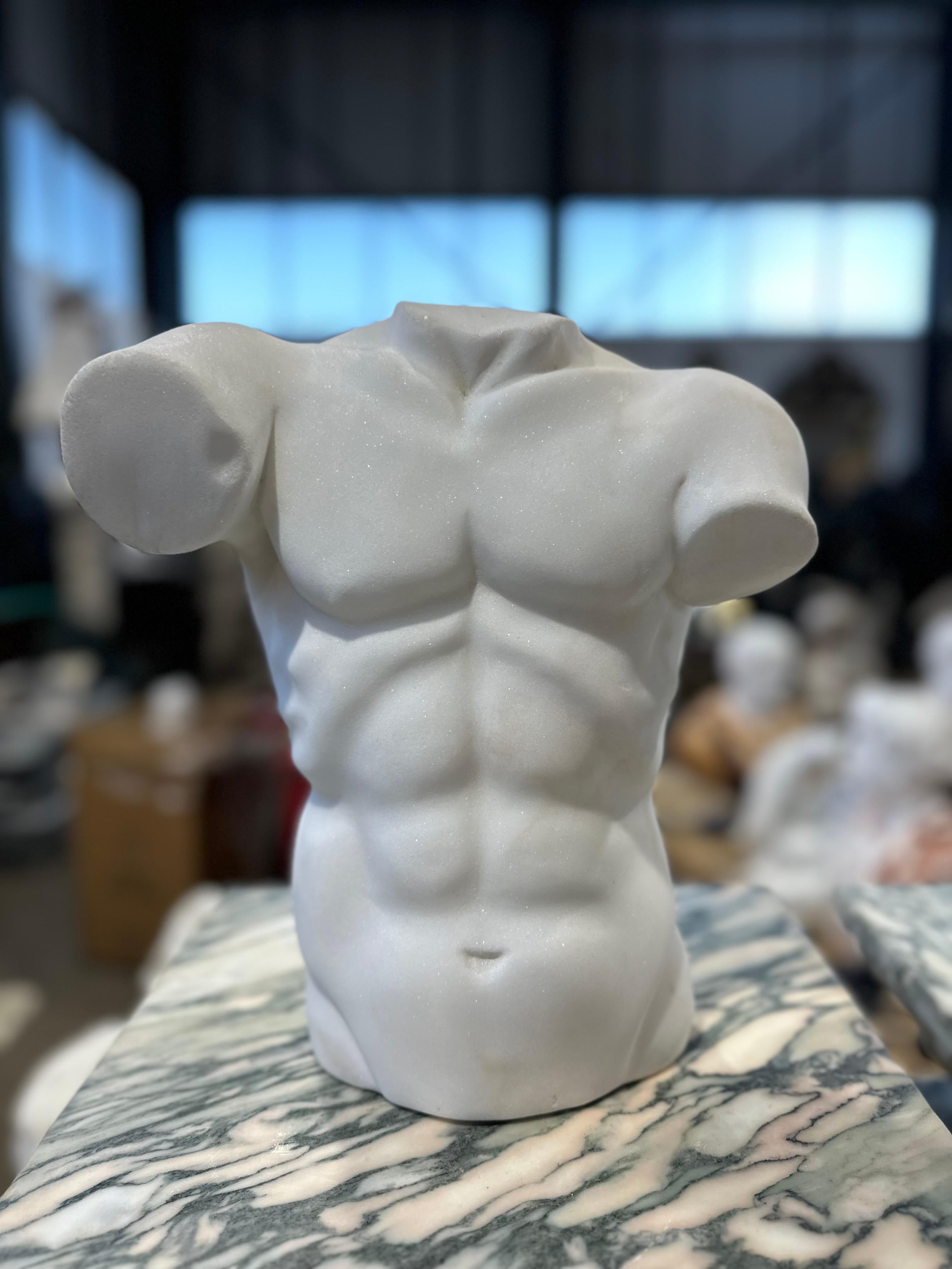 A carefully hand-carved male marble torso, with defined muscles. Beautifully realised, this piece would look great as part of a collection, or on its own.