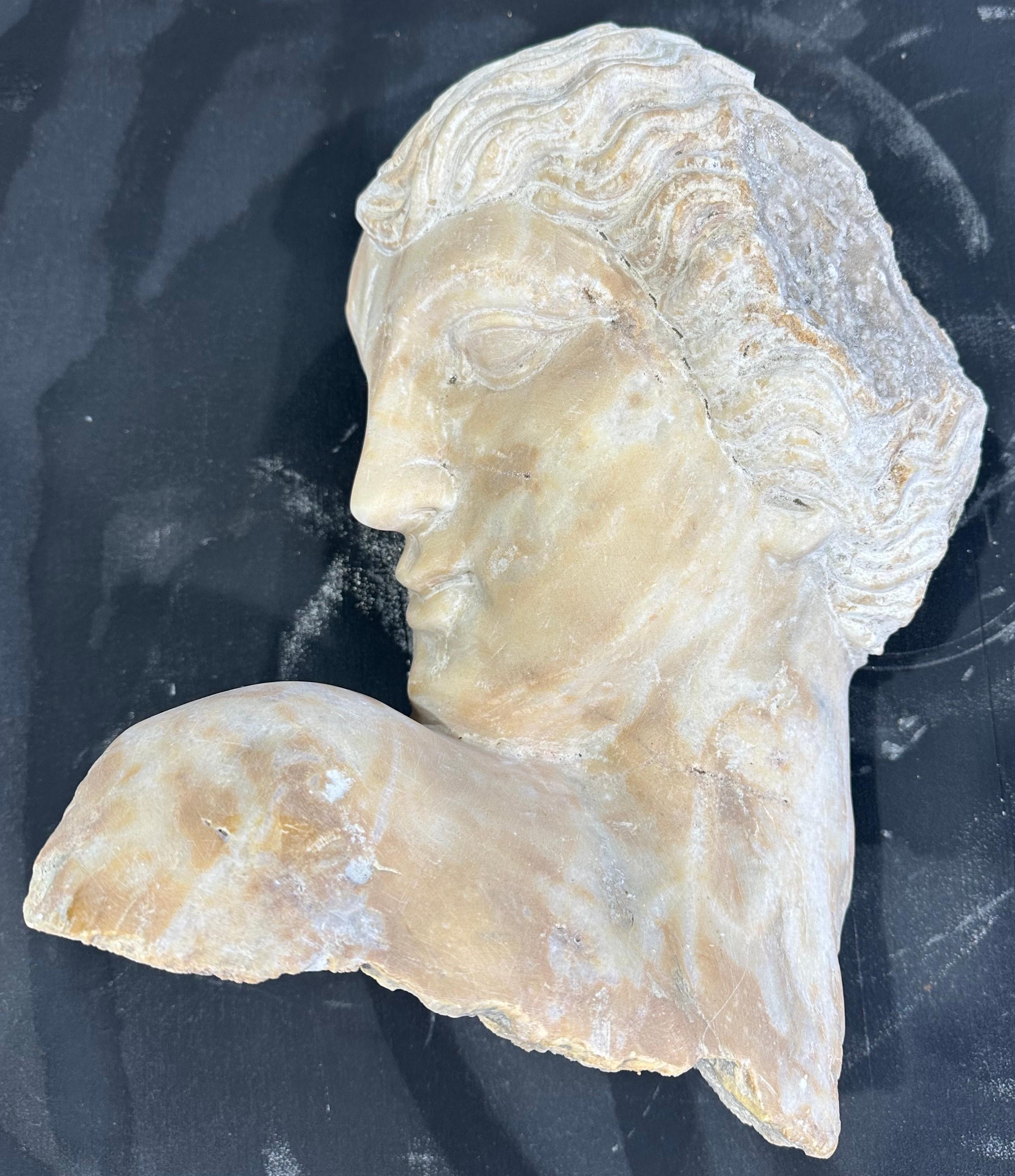 A beautifully carved marble head in the classical style with clear features, full lips and hair.

This piece has a lovely aged look to it and warm colour.

It would look delightful as a centrepiece and be sure to be a real talking point. 