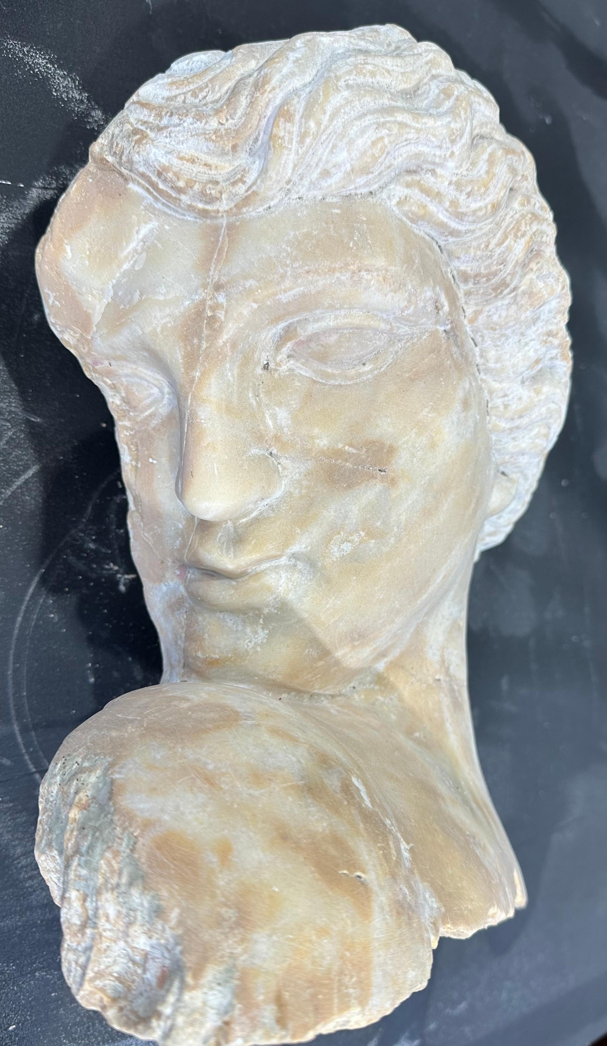 Hand-Carved Neoclassical Style Marble Head  For Sale