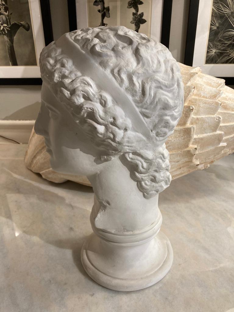 Neoclassical Style Roman Plaster Bust of a God 3