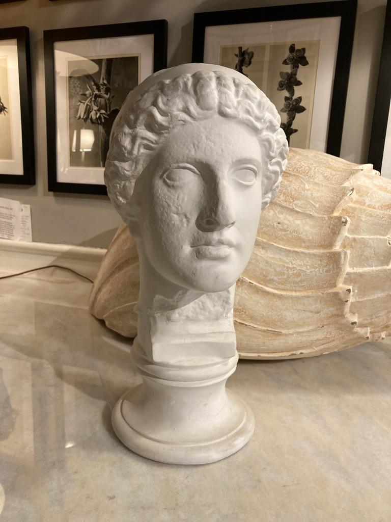 Neoclassical Style Roman Plaster Bust of a God 8