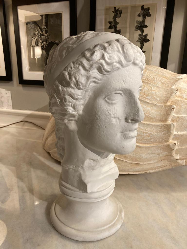 Neoclassical Style Roman Plaster Bust of a God 9