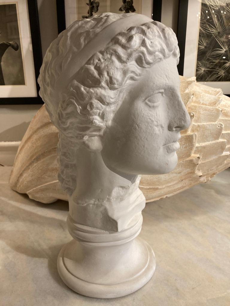 Neoclassical Style Roman Plaster Bust of a God 10