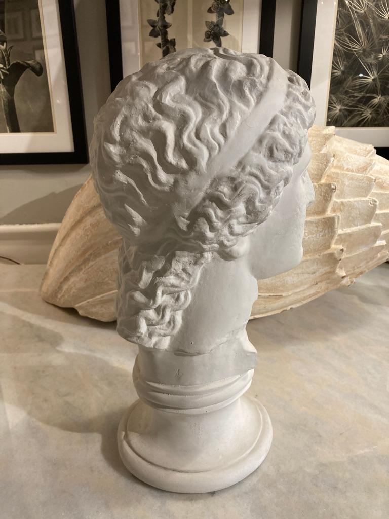 Neoclassical Style Roman Plaster Bust of a God In Good Condition In Stamford, CT