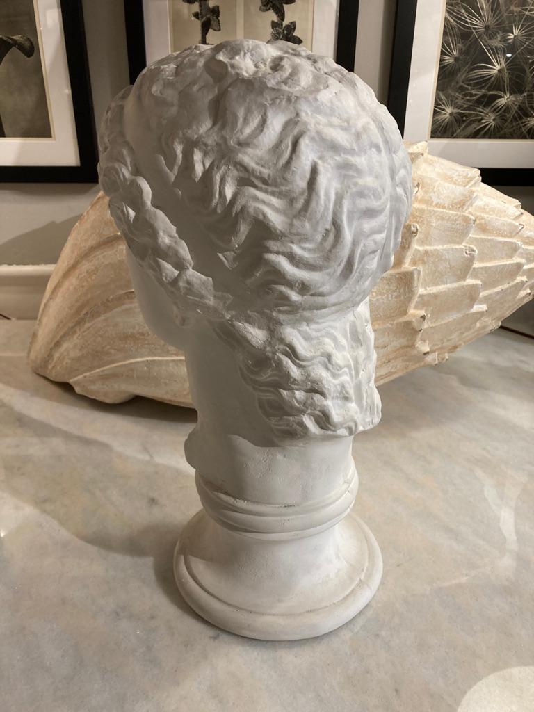 Neoclassical Style Roman Plaster Bust of a God 2