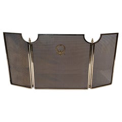 Neoclassical Style Steel, Brass and Grilling Fireplace Screen