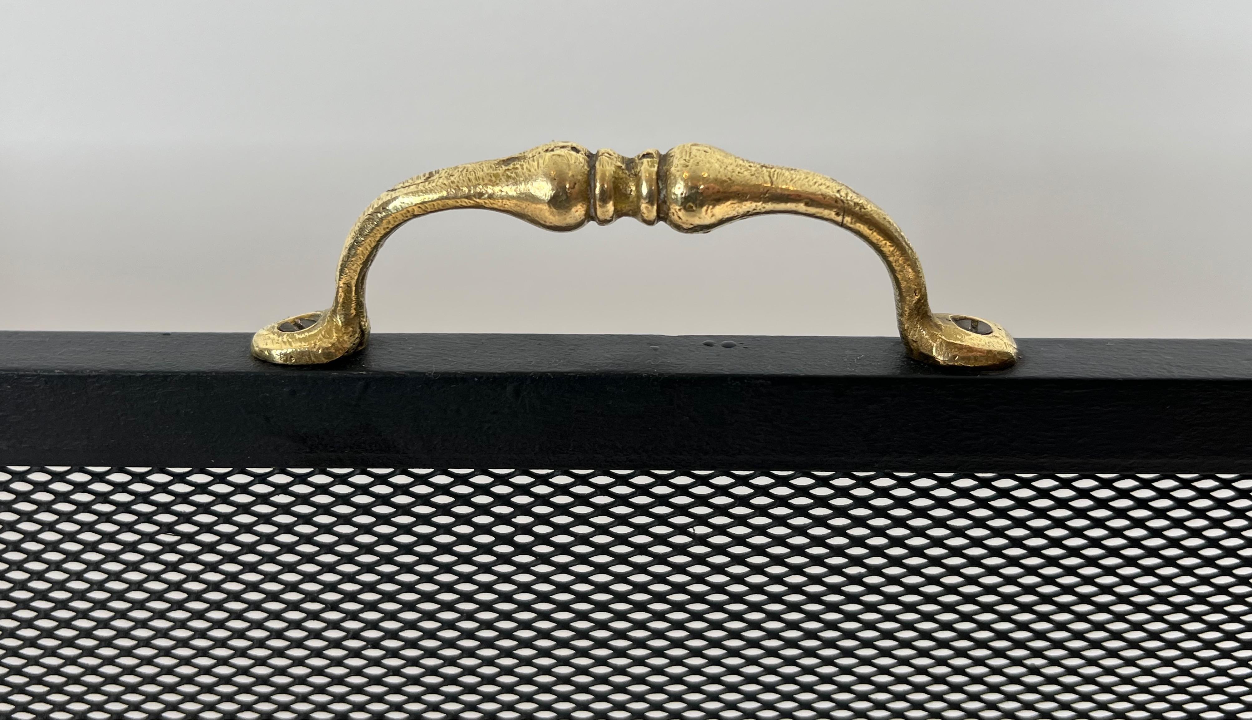 Neoklassizistischer Kaminschirm aus Stahl, Messing und Grillen im neoklassischen Stil mit Krallenfüßen (Französisch) im Angebot