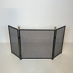 Neoclassical Style Steel Brass Fireplace Screen with Brass Pine Cones