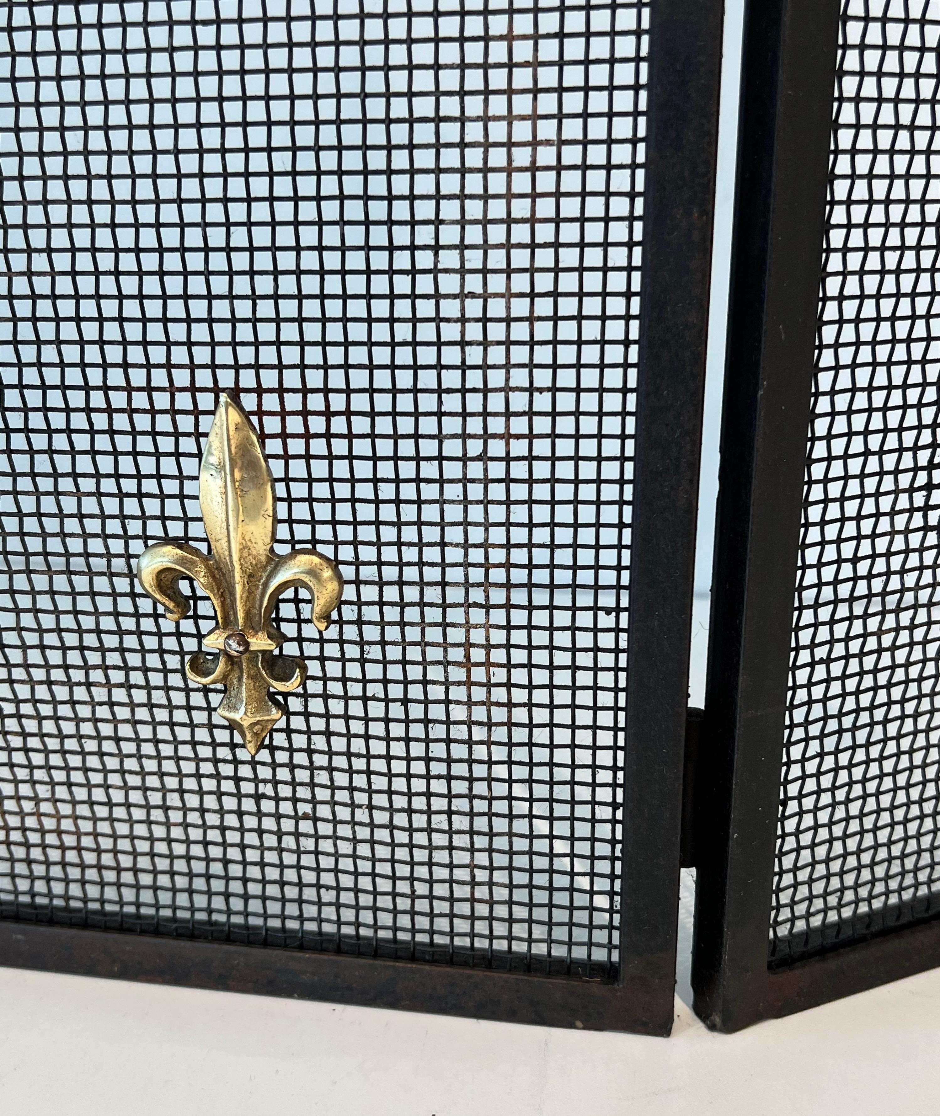 Neoclassical Style Stele, Brass and Grilling Fireplace Screen with Lily Flowers For Sale 6