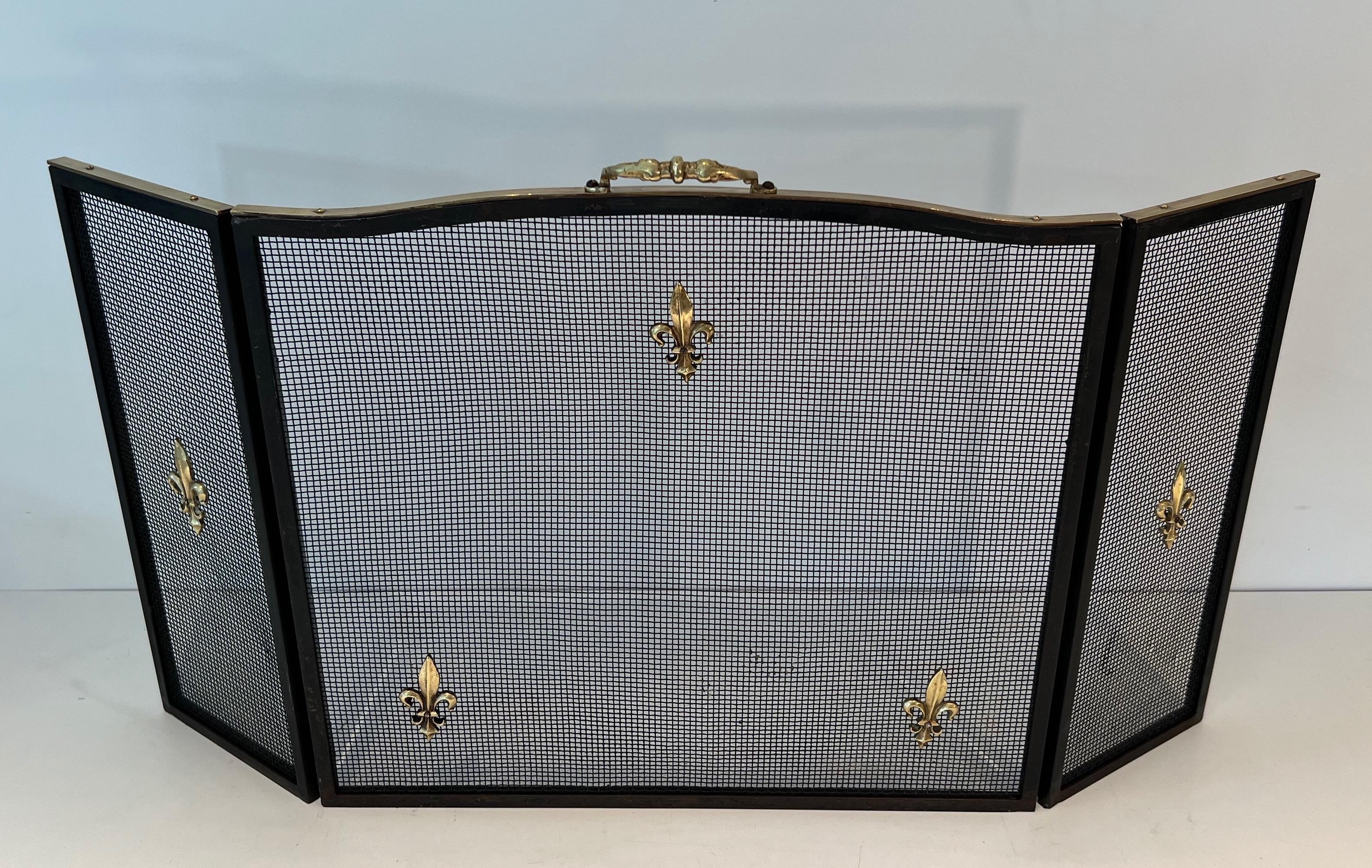 This neoclassical style fireplace screen is made of steel, brass and grilling. It is made of 3 panels decorated with brass Lily Flowers. This is a French work. Circa 1940