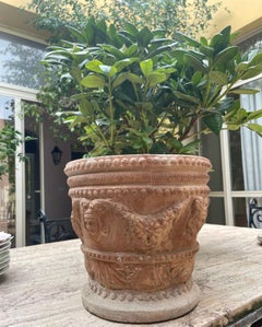 Neoclassical Terracotta Planter