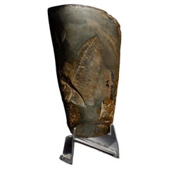Neolithic Polished Stone Adze Head, Papua New Guinea