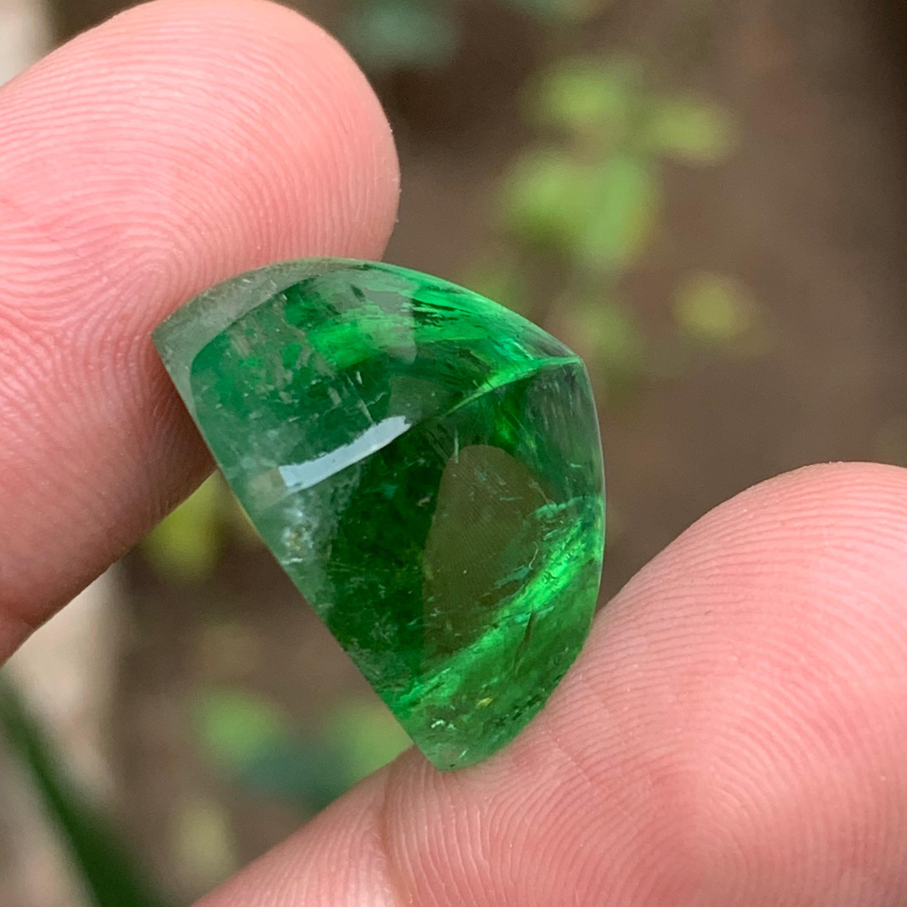 Greene & Greene Greene Cabochon de tourmaline naturelle en pain de sucre 35.60 Ct en vente 4