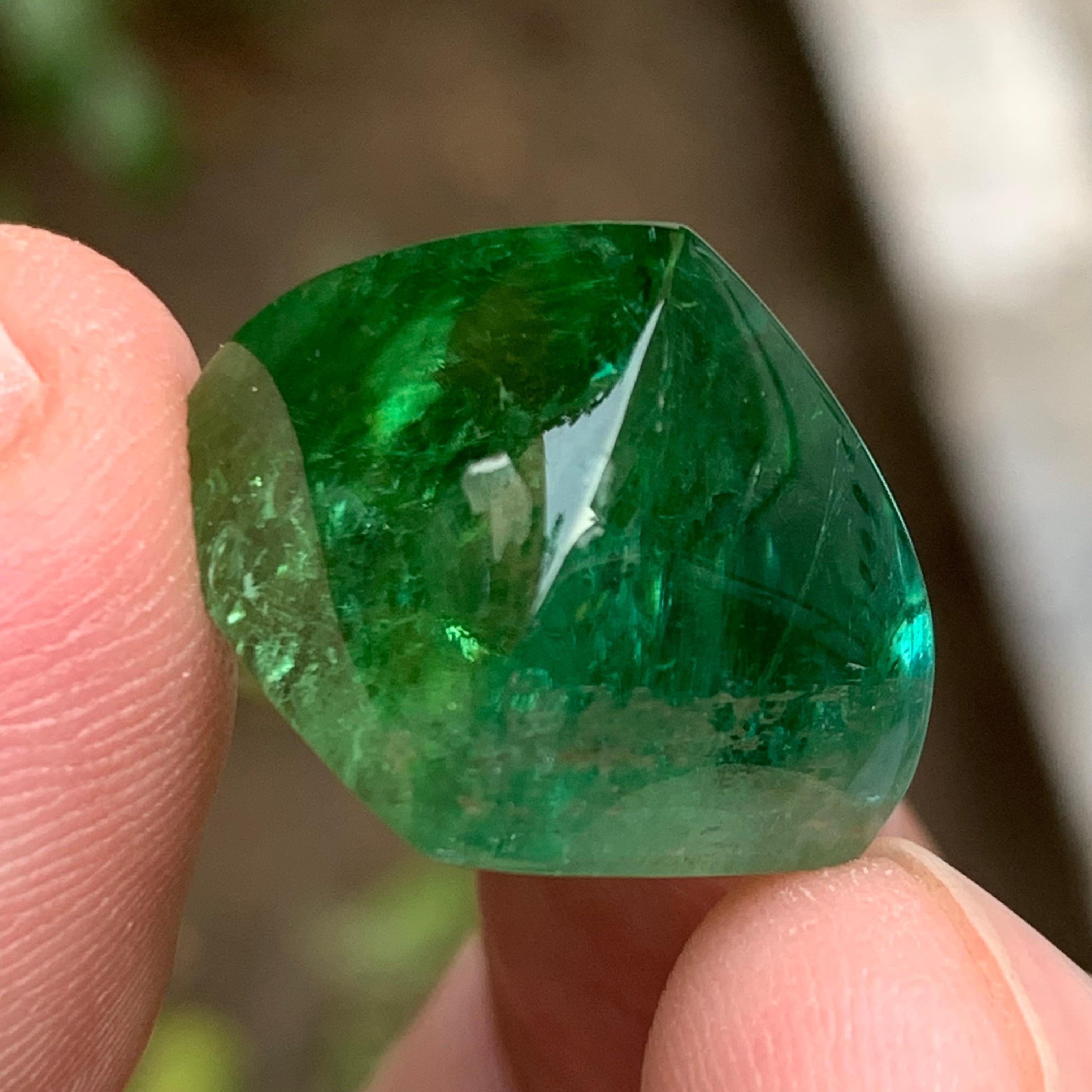 Greene & Greene Greene Cabochon de tourmaline naturelle en pain de sucre 35.60 Ct en vente 10