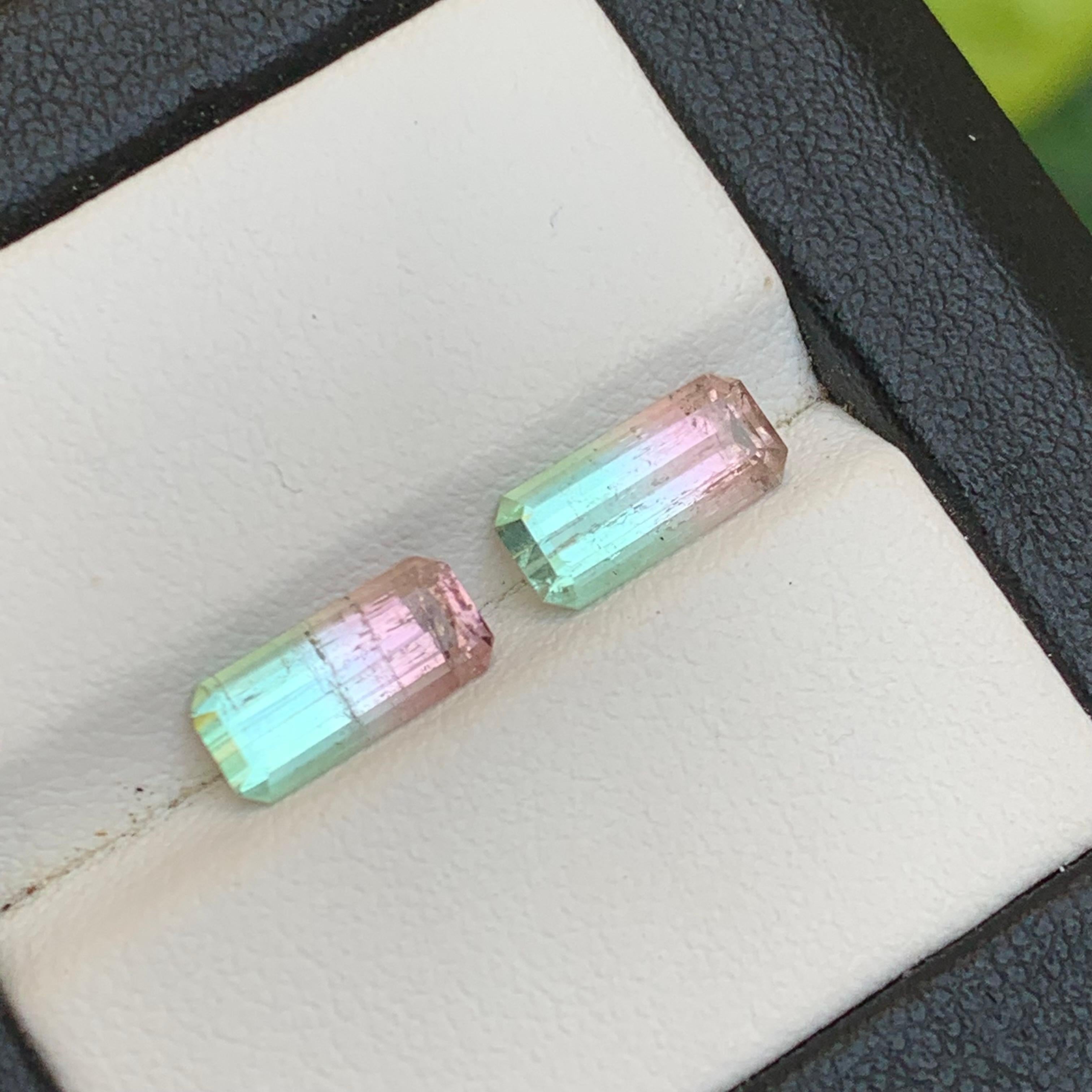 Tourmaline Naturelle Bicolore Vert Néon et Rose Pêche Paire de pierres précieuses en vrac pour bague, boucles d'oreilles, pendentif collier, bracelet ou tout autre sertissage de bijoux !

💎 TYPE DE PIERRE PRÉCIEUSE : Tourmaline 
⚖️ POIDS : 3.02