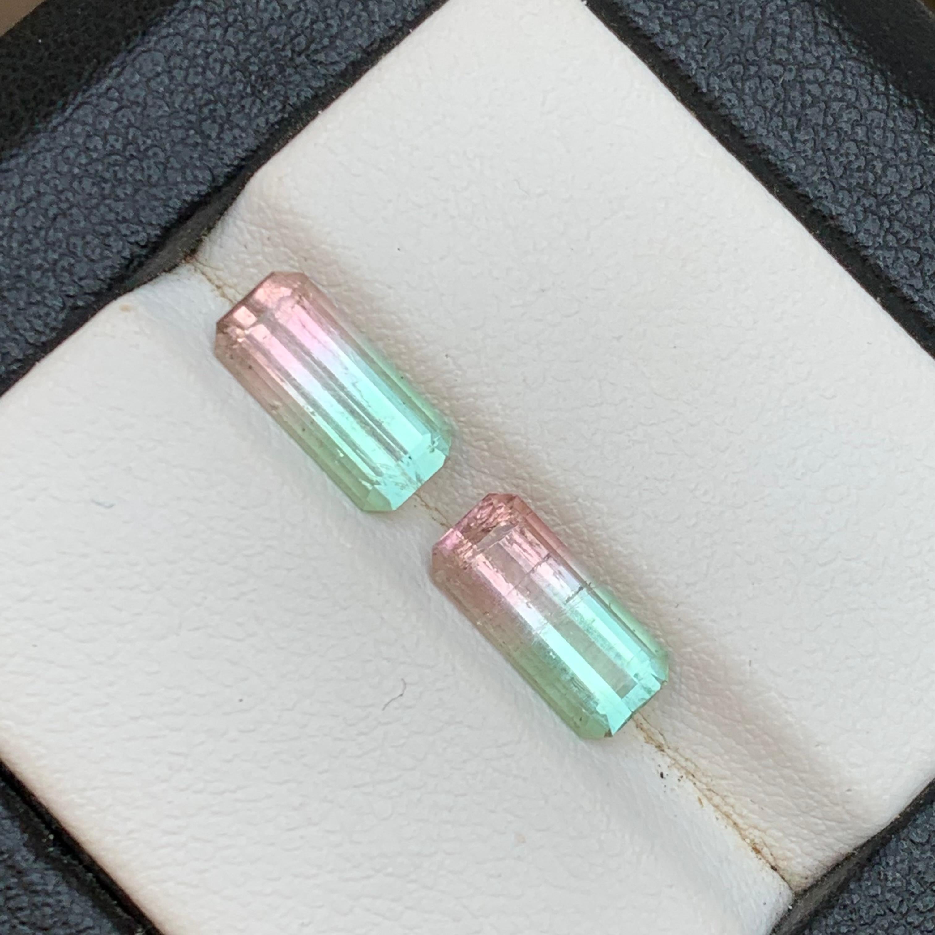 Paire de pierres précieuses en vrac Greene & Greene Greene & Greene Natural Tourmaline 3.02 Ct Unisexe en vente