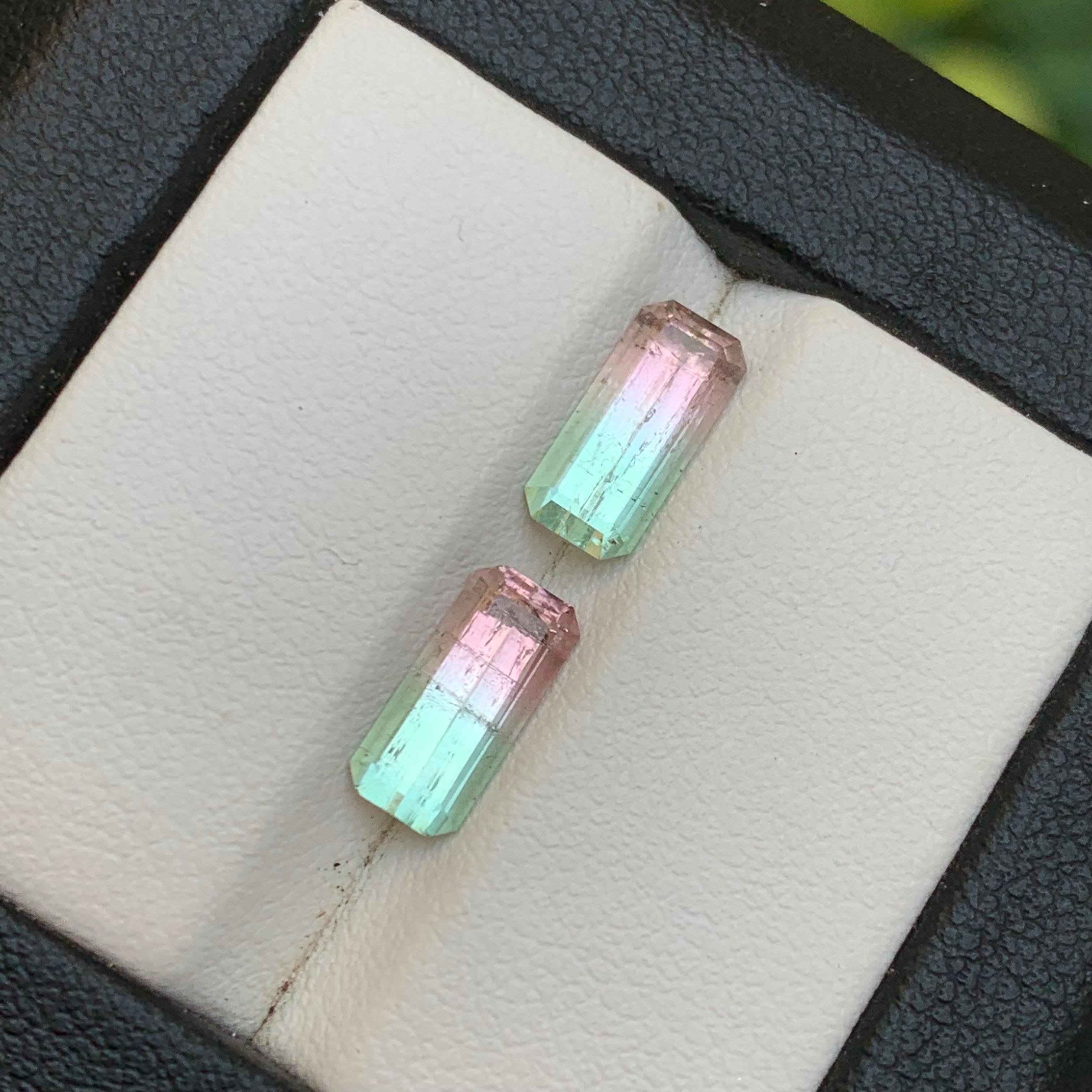 Paire de pierres précieuses en vrac Greene & Greene Greene & Greene Natural Tourmaline 3.02 Ct en vente 1