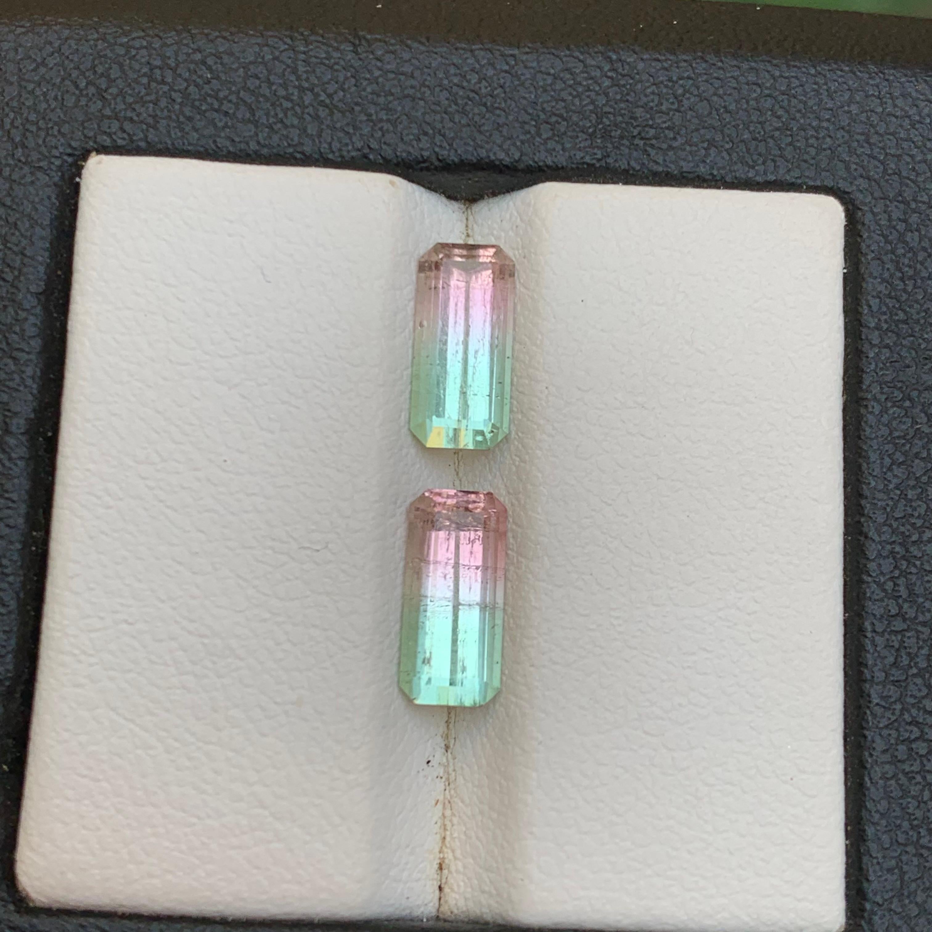 Paire de pierres précieuses en vrac Greene & Greene Greene & Greene Natural Tourmaline 3.02 Ct en vente 2