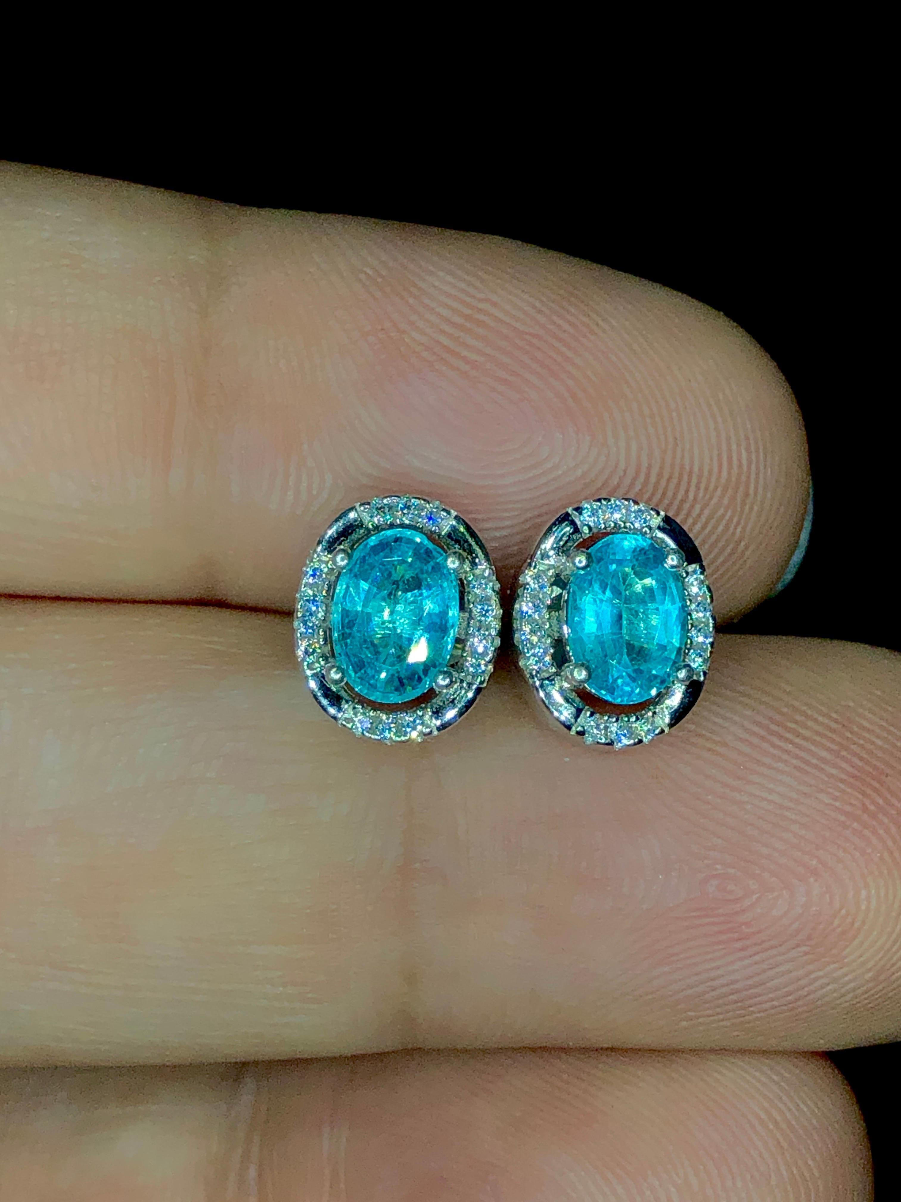 Women's Neon Paraiba blue color 925 CZ silver Apetite earrings 