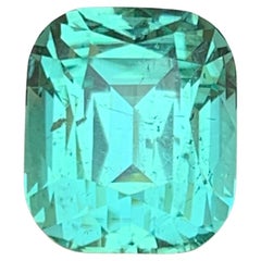 Greene
Greene Greene Tourmaline 6.52Ct Cushion Cut Natural Loose Gemstone for Ring