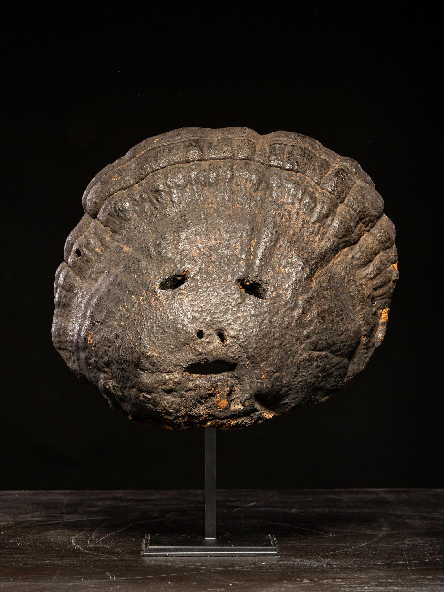 Rituel népalais Grand masque de champignon Lingzhi Terai. Important et rare masque sculpté en bois de champignon, de type amadou (fomes fomentarius), de forme triangulaire arrondie, avec des yeux ovales perforés, une bouche et un nez incisés en