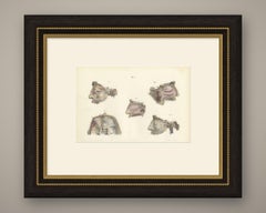 Nerves of the Nose, Palate and Upper Jaw, Antique Hirschfeld Anatomy Print, 1866