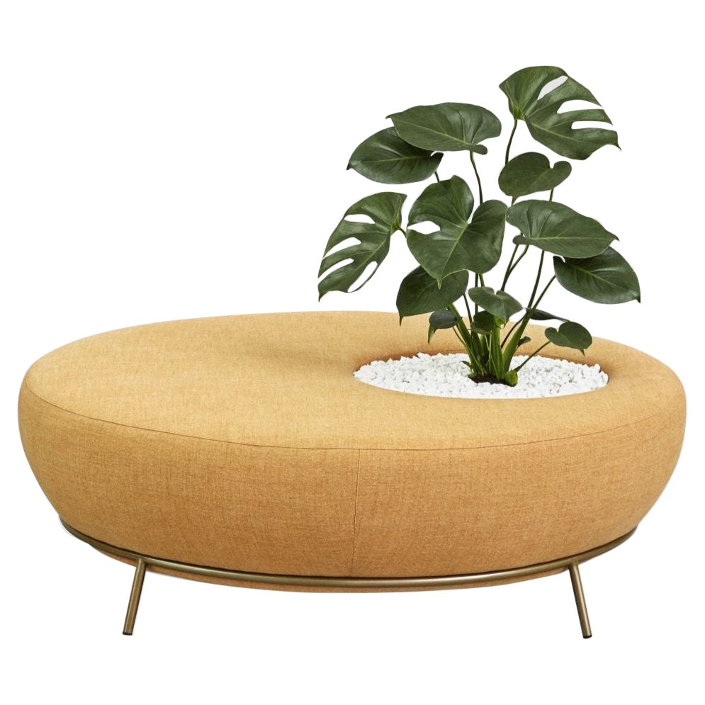 Nest Round Sofa Planter by Pepe Albargues For Sale