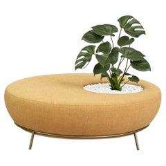 Nest Round Sofa Planter by Pepe Albargues