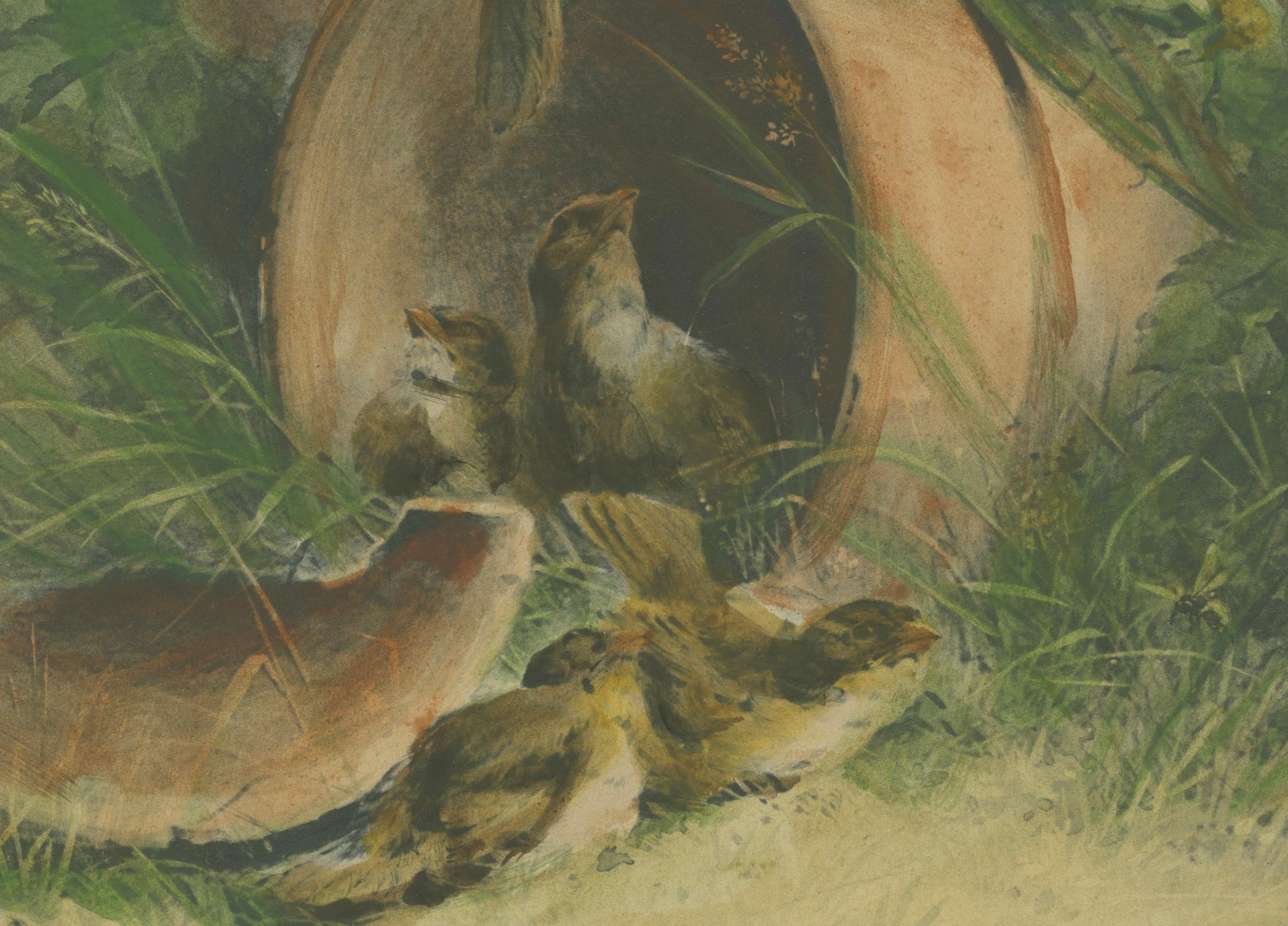 Nestled Spargel in einem zerbrochenen Blumentopf - Seltener Giacomelli Ornithological Print im Zustand „Gut“ im Angebot in Langweer, NL