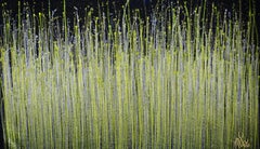 A closer look (Luminance garden) 3, Painting, Acrylic on Canvas