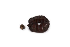 Netsuke in Boxwood in the form of a turtle hidden in its shell