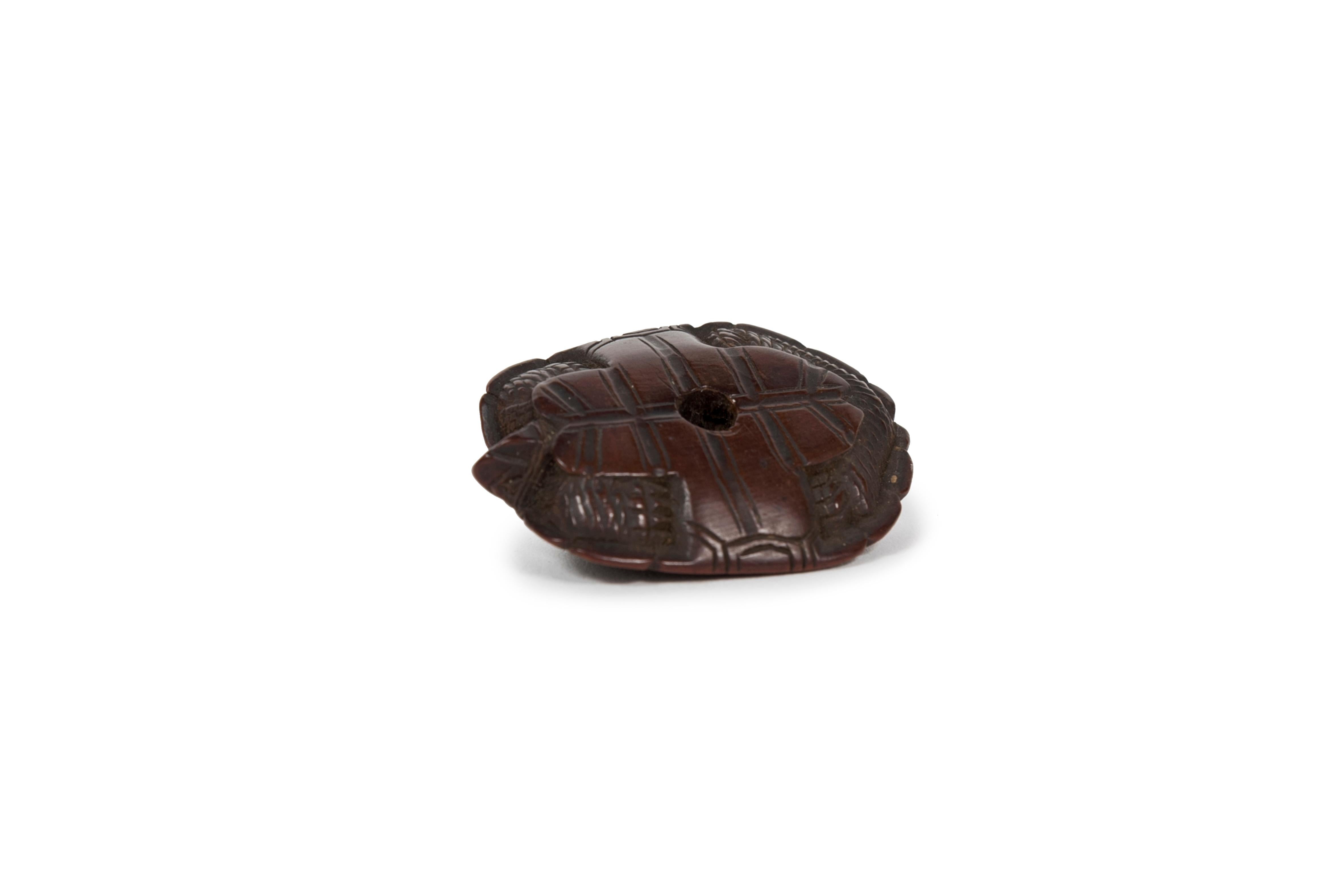 Netsuke de madera de boj en forma de tortuga oculta en su caparazón Edo en venta