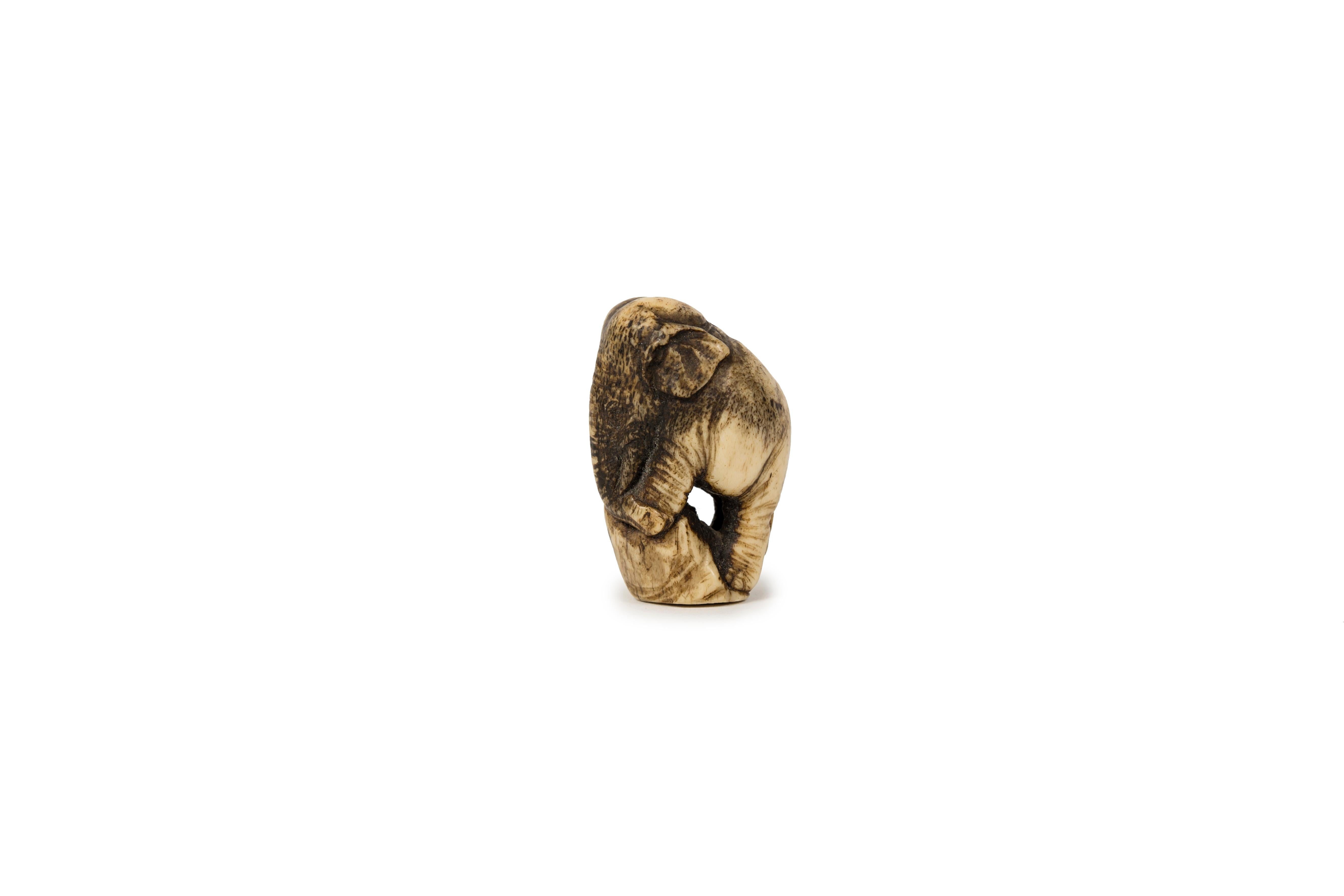 Meiji Netsuke in deer antler in the form of an elephant standing on some rock For Sale