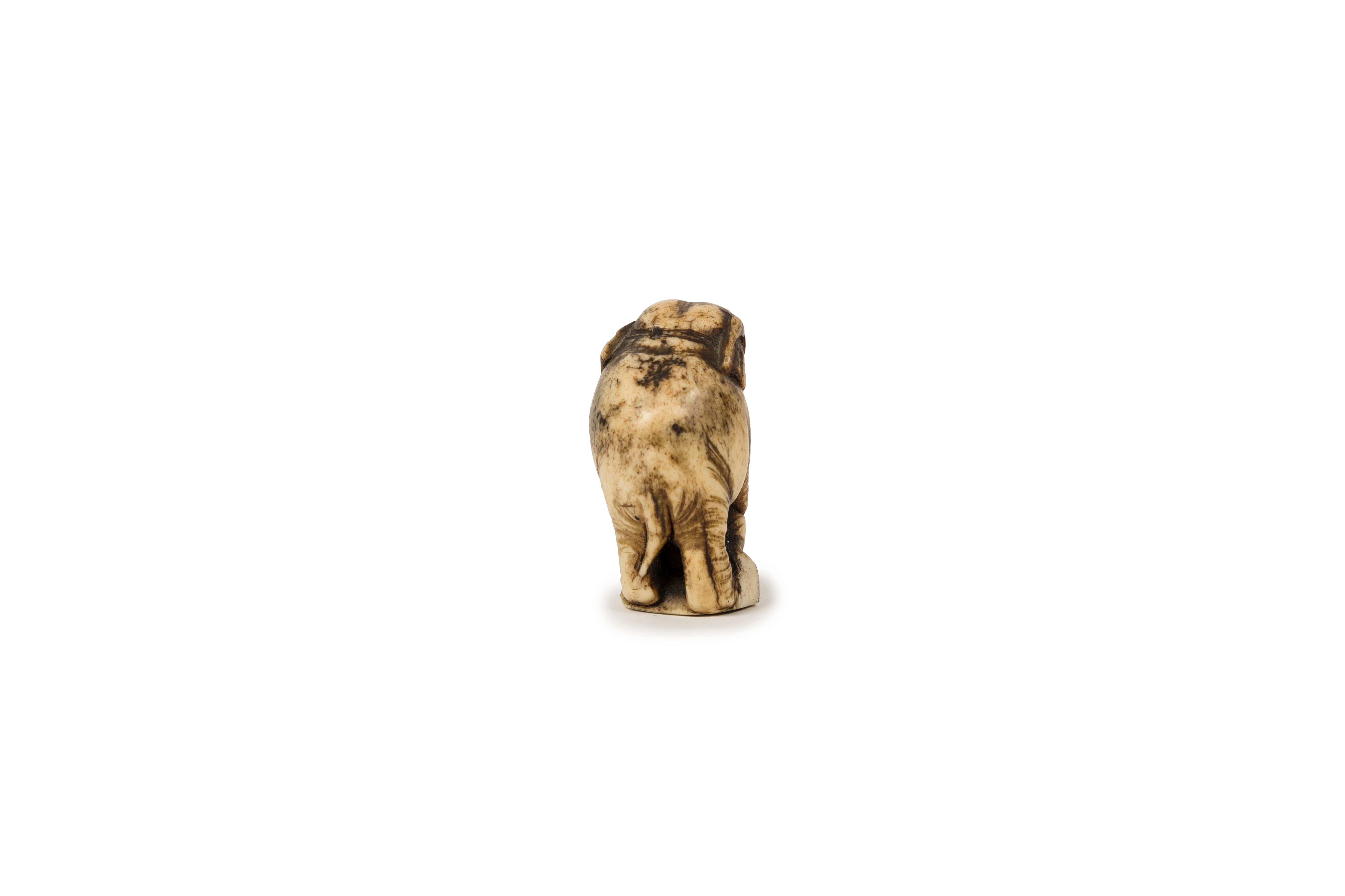 Japanese Netsuke in deer antler in the form of an elephant standing on some rock For Sale