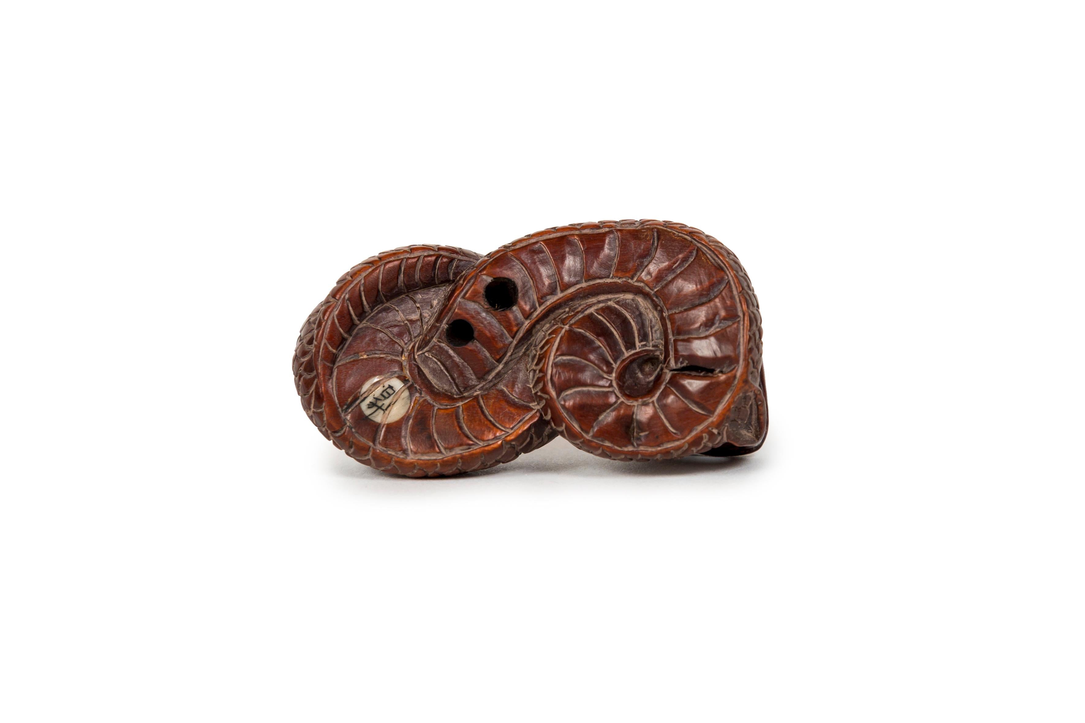 Netsuke en buis représentant un serpent enchevêtré sur lui-même, chaque écaille est sculptée avec précision, et la patine brune d'ensemble est intense. Si les serpents sont presque toujours de mauvais augure en Asie, ce n'est pas le cas au Japon.