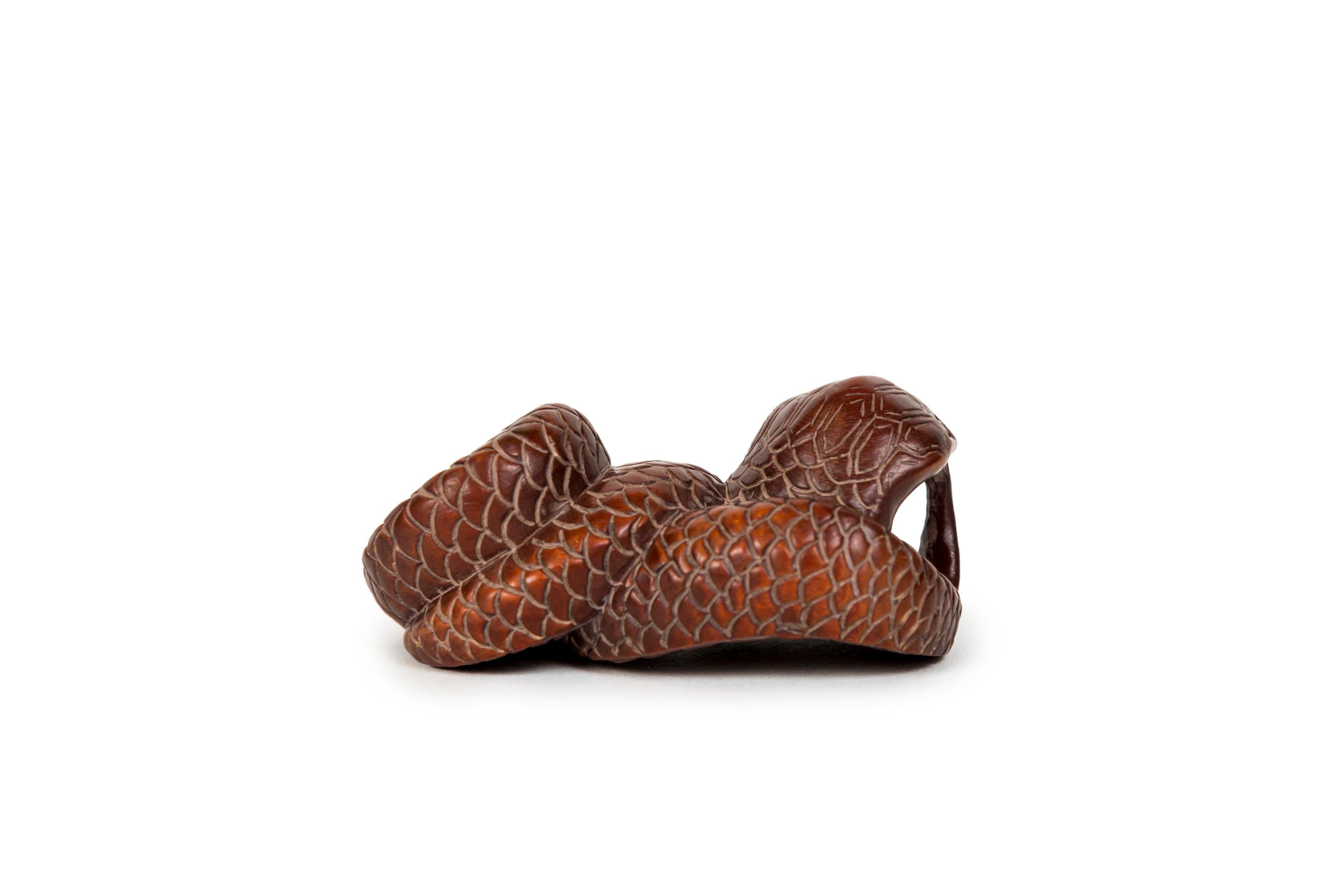 Netsuke en forme de serpent en buis avec yeux incrustés et signature Bon état - En vente à PARIS, FR