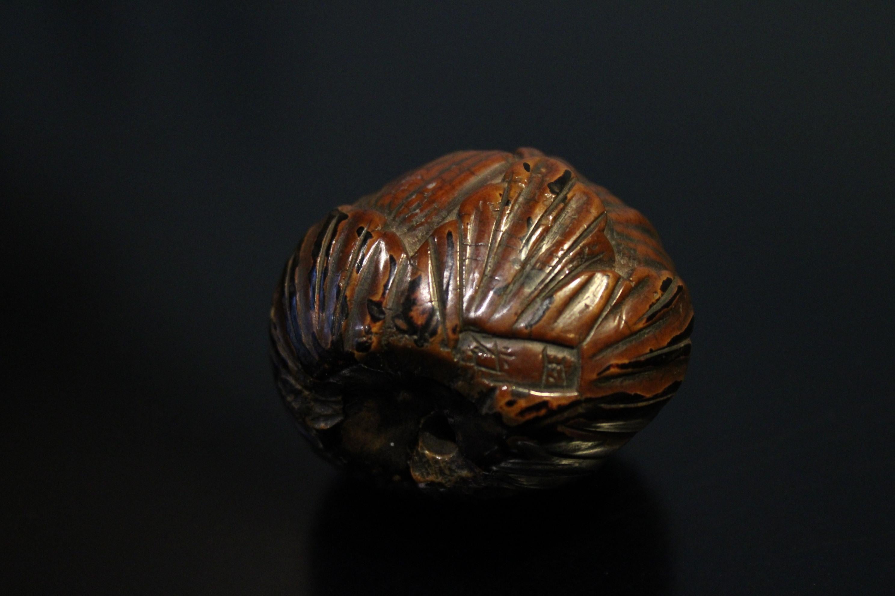Netsuke Signed, Japan, Early 20th Century  In Good Condition For Sale In Paris, FR