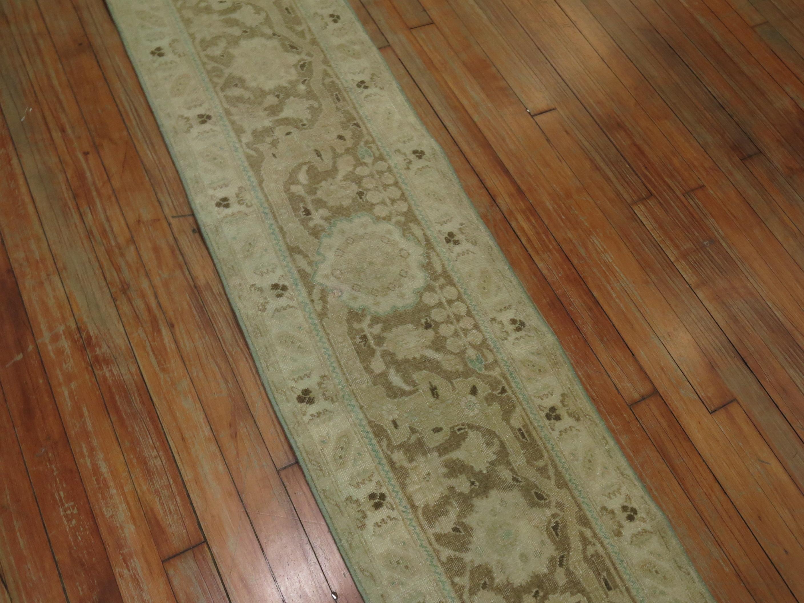Narrow one of a kind Persian runner in soft green and brown accents. You have a narrow hallway and appreciate antique Persian rugs then this might be the one,

circa 1920. Measures: 1'6