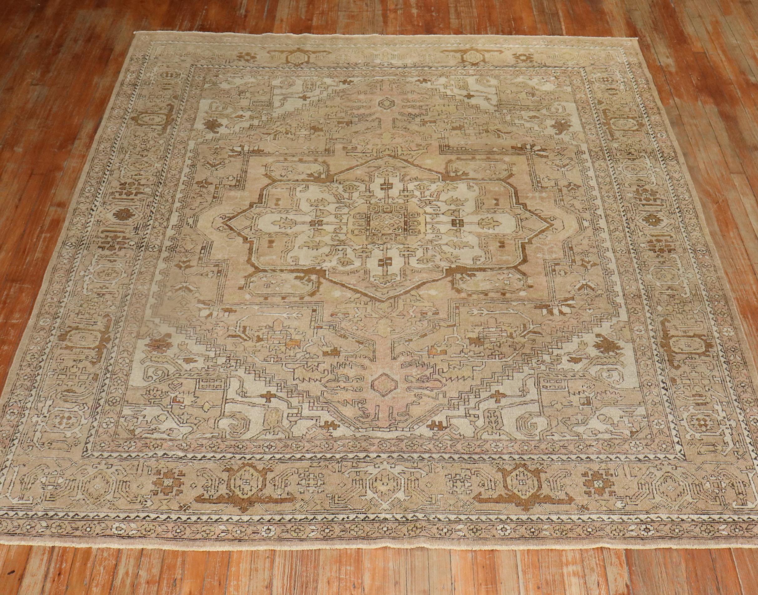 Neutral Indian Room Size Rug For Sale 4