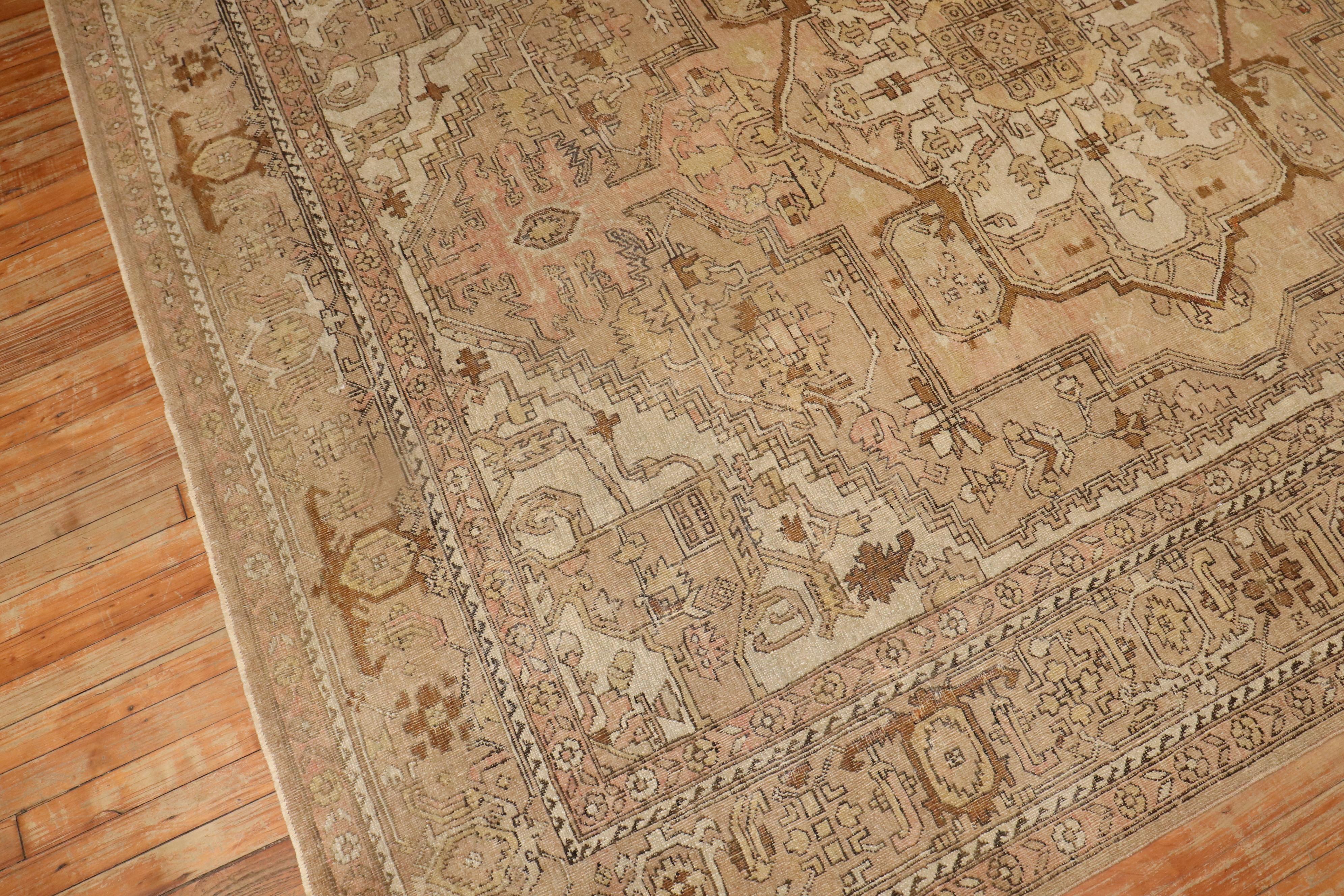 Neutral Indian Room Size Rug For Sale 6