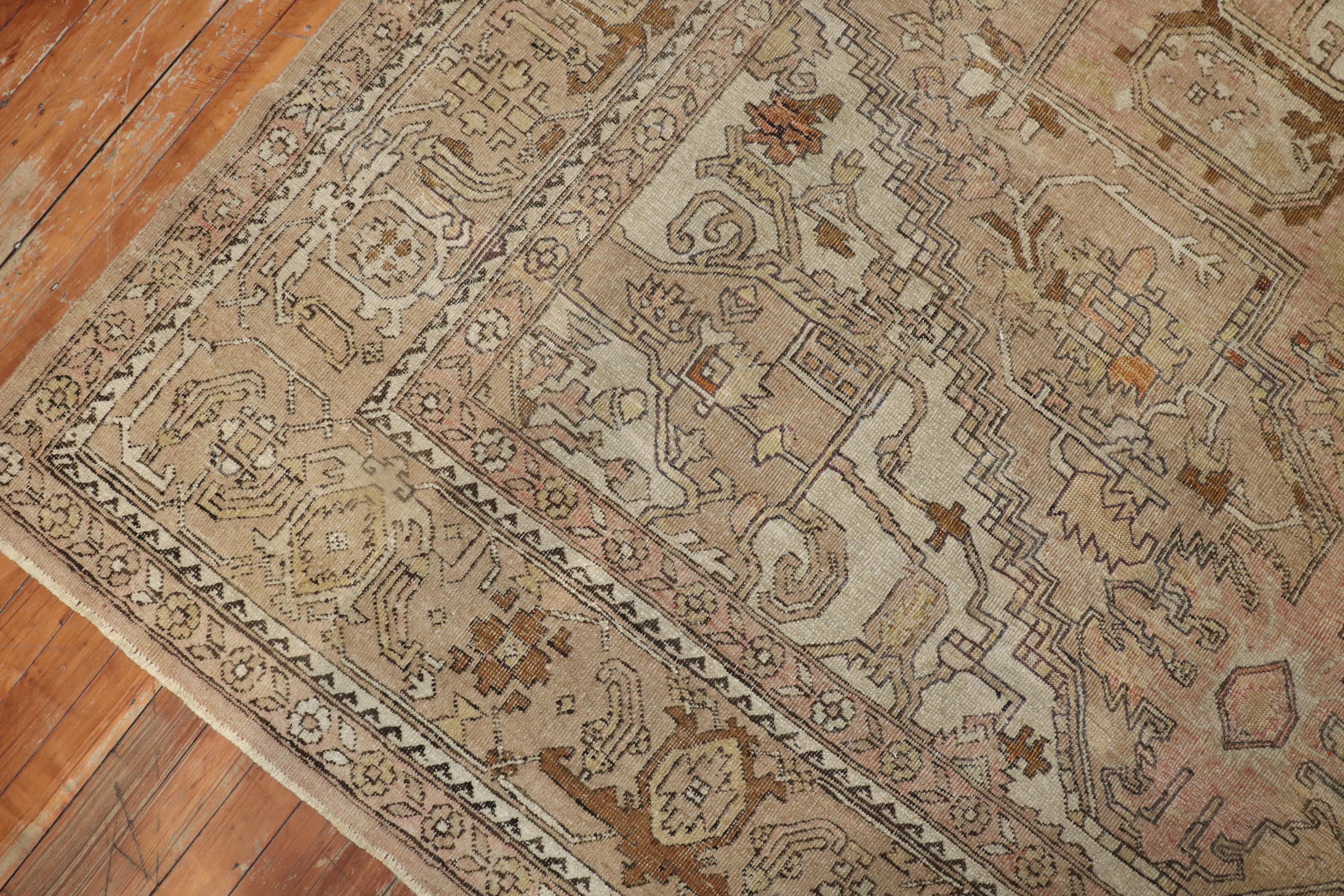 Agra Neutral Indian Room Size Rug For Sale