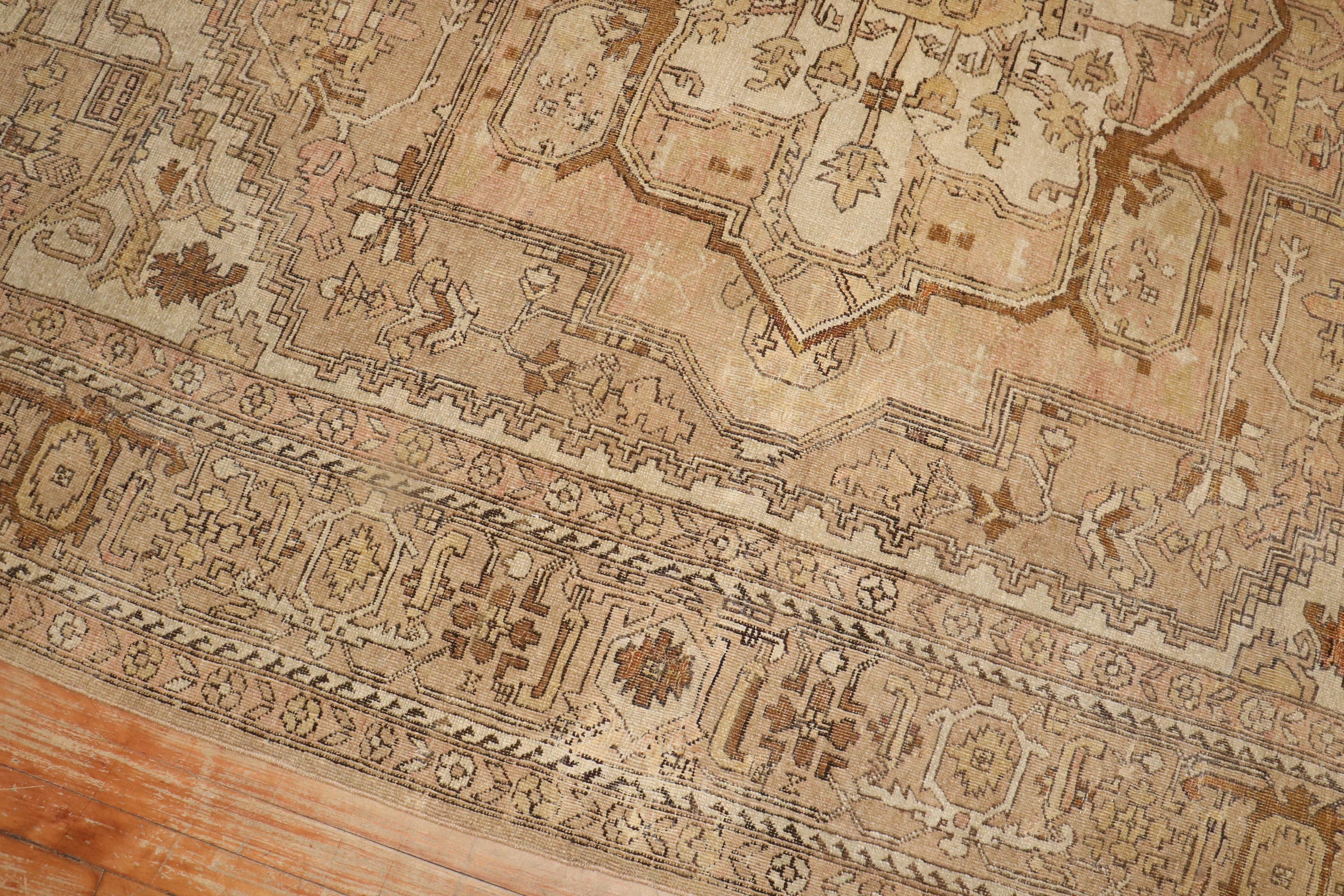 Neutral Indian Room Size Rug For Sale 2
