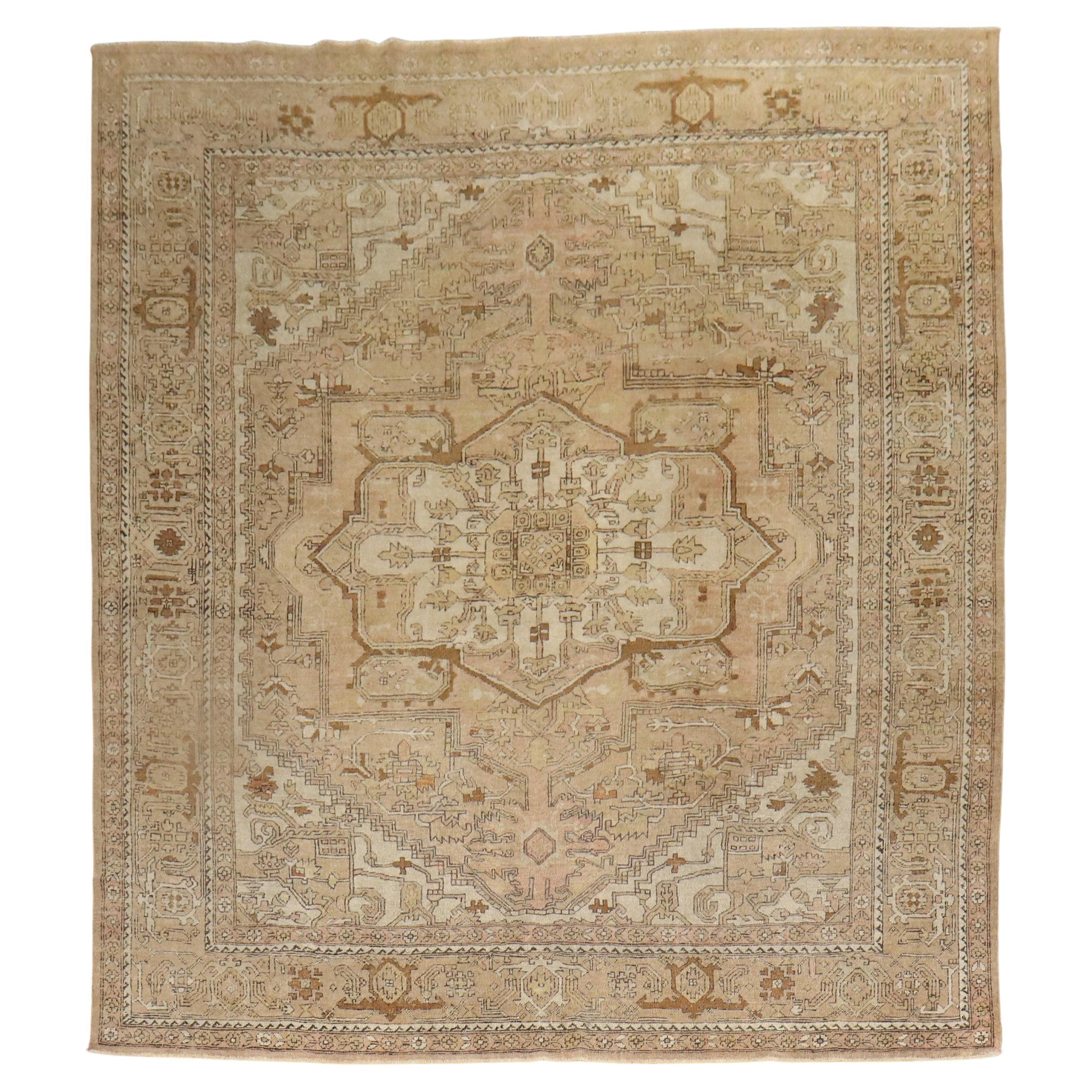 Neutral Indian Room Size Rug For Sale