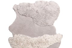 Neutral Wool Blend Tufted Area Carpet, Limited Edition