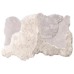 Neutral Wool Blend Tufted Area Carpet, Limited Edition