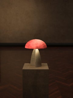 Neutrino Red Leopard And Aluminium Table Lamp by Studio Brocky