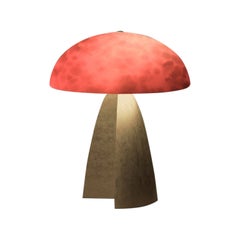 Neutrino Red Leopard And Aluminium Table Lamp by Studio Brocky